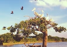 #safari #world.jpg